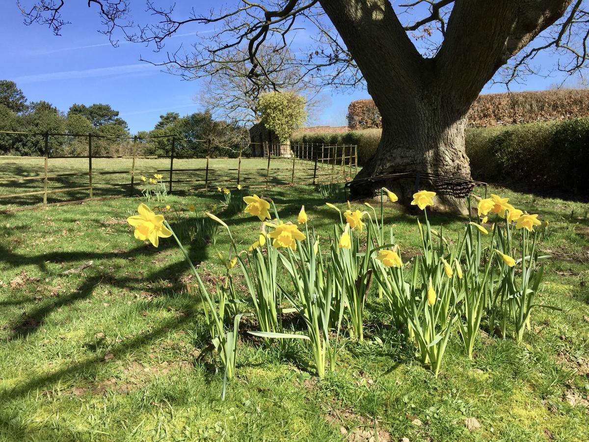 The Wrea Head Hall Country House Hotel & Restaurant Scarborough Esterno foto