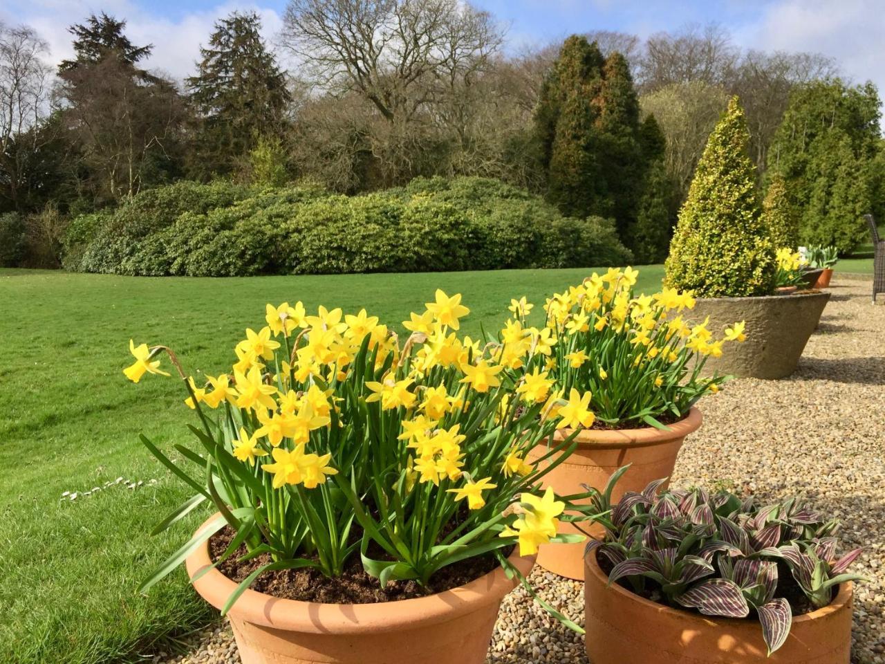 The Wrea Head Hall Country House Hotel & Restaurant Scarborough Esterno foto